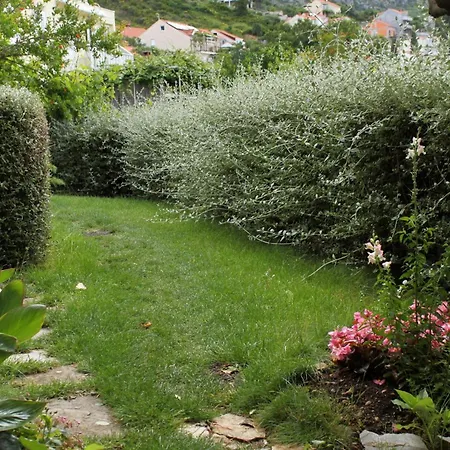 Lägenhet With A Parking Space Mlini, Dubrovnik - 8834 *