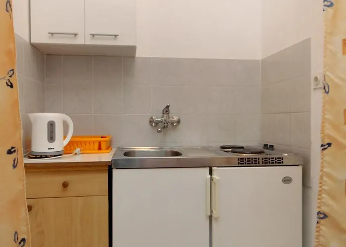 公寓 With A Parking Space Mlini, Dubrovnik - 8834 米利尼